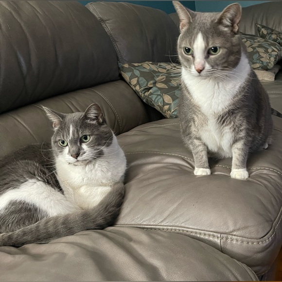 Meet the Posher - Picture 3 of 3